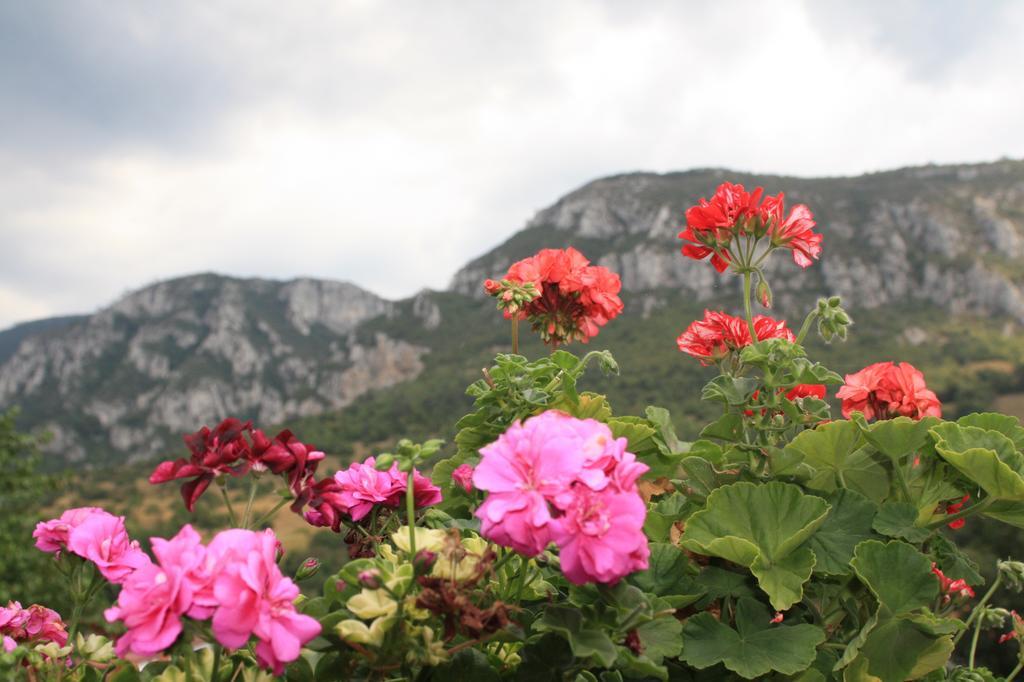 Pensiune Safrane Băile Herculane Kamer foto