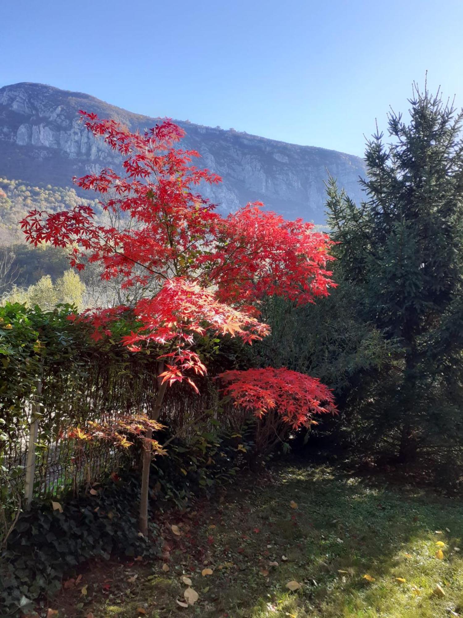 Pensiune Safrane Băile Herculane Buitenkant foto