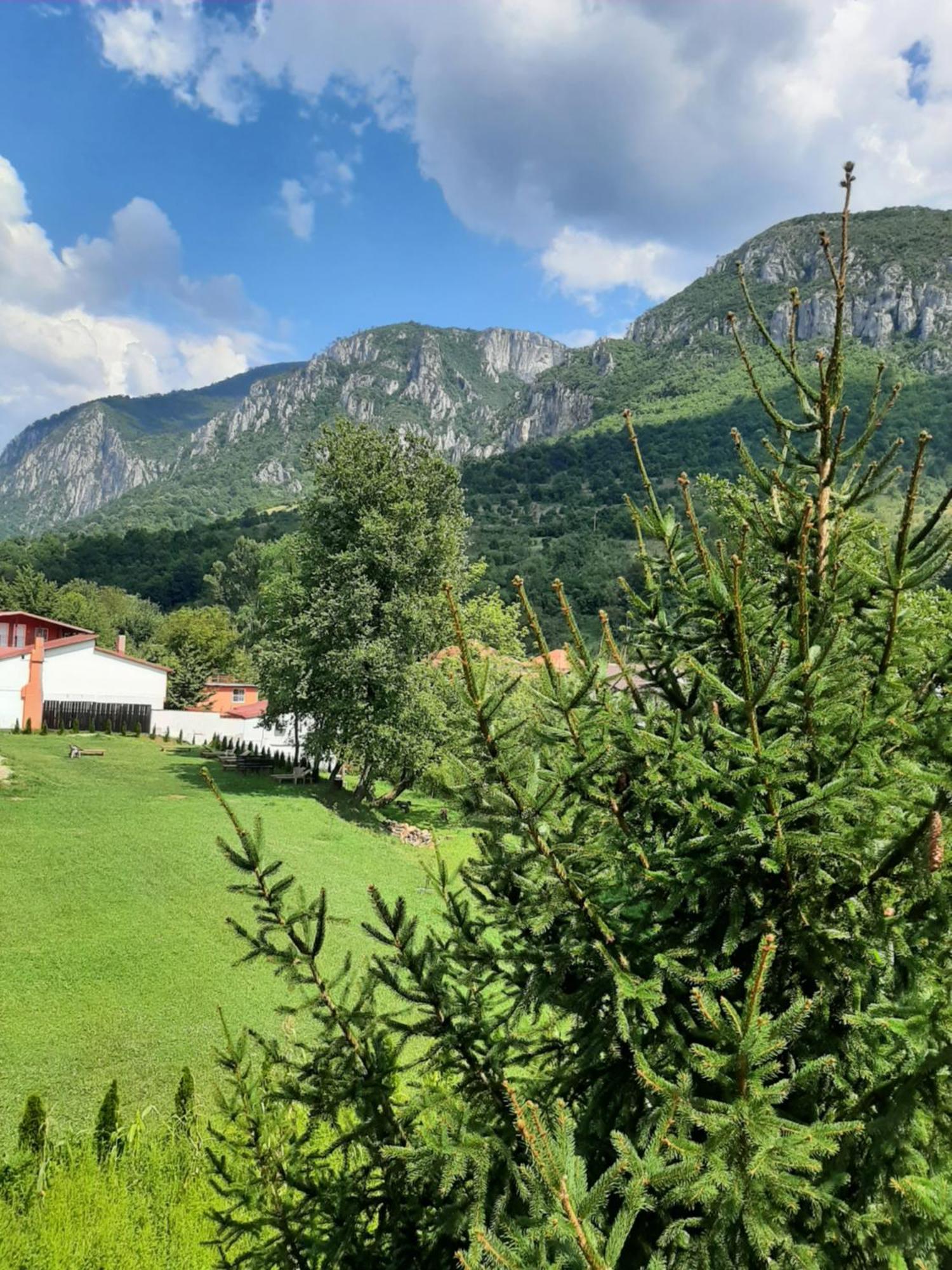 Pensiune Safrane Băile Herculane Buitenkant foto