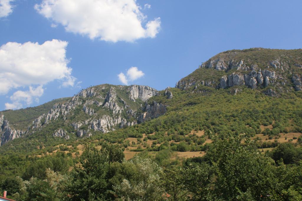 Pensiune Safrane Băile Herculane Kamer foto