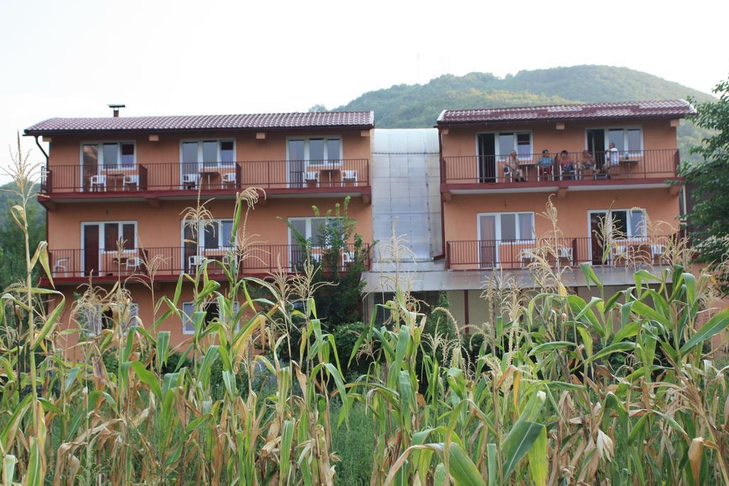 Pensiune Safrane Băile Herculane Kamer foto